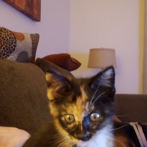 Meet your Posher, Krista